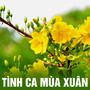 Tình ca mùa xuân