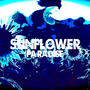 Sunflower Paradise