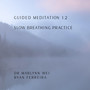 Guided Meditation 1.2: Slow Breathing Practice