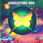 Forgetting You (Explicit)