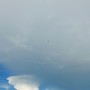 Flight
