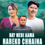 HAY MERI AAMA HAREKO CHHAINA