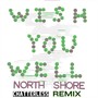 Wish You Well (Chatterless Remix)