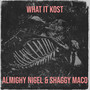 What It Kost (Explicit)