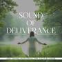 Sound of Deliverance (feat. Idowu Princewell, PBK & S.G.D.M Choir) (Remixed Version)
