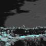 pages (Explicit)