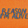 Reason I'm Alive (MiSide)