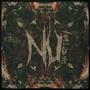 NU_chapter1 (Explicit)