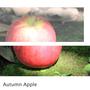 Autumn Apple