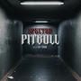 PITBULL (Explicit)
