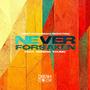 Never Forsaken (feat. Serena Young)