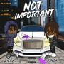 Not Important (feat. Kingk) [Explicit]