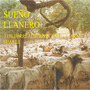 Sueño Llanero