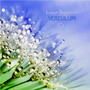 Verculum