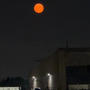 Under the Bleeding Moon. (Demo Version)