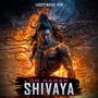 Om Namah Shivaya (Shiva Trance) | LUCKY MUSIC HUB