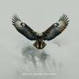 We Are Free (Alox Remix)
