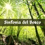 Sinfonia del bosco - musica rilassante strumentale e suoni della natura per dormire