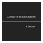 A Tribute To Junior Boys