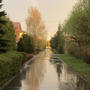 summer rainy walk