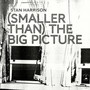 (Smaller Than) The Big Picture