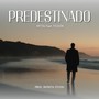 Predestinado (feat. Fesson)