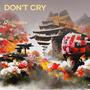 Don't Cry