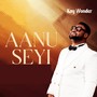 Aanu Seyi (Live)