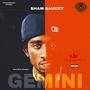 Gemini (Explicit)