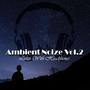 Ambient Noize Vol.2