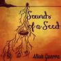 Sounds of a Seed