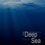 Little WondeR-The Deep Blue Sea