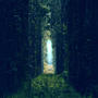5th Dimension