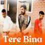 Tere Bina