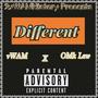 Different (feat. OMk Lew) [Explicit]