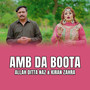 Amb Da Boota