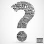 Questions (Explicit)