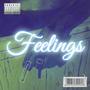 FEELINGS (feat. K.I.D HELLCAT) [Explicit]