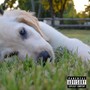 My Dawg (Explicit)