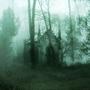 forestghost