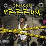 Prrrum (Explicit)