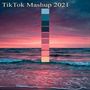 TikTok Mashup 2021