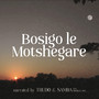 Bosigo Le Motshegare