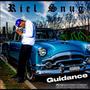 Guidance (Explicit)