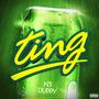 Ting (feat. Duppy) [Explicit]