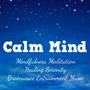 Calm Mind - Mindfulness Meditation Healing Serenity Brainwave Entrainment Music