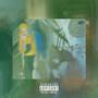 Fakin Flex (feat. GonzoTheSipper) [Explicit]