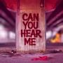 Can You Hear Me (Explicit)