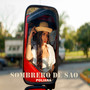 Sombrero de sao