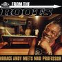 From The Roots- Horace Andy Meets Mad Professor